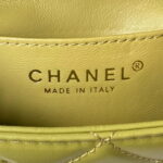 chanel as4165 mini flap bag lambskin wenge wood gold tone metal lemon green 008 luxibags.ru .jpg