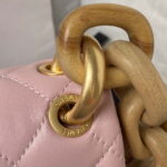chanel as4165 mini flap bag lambskin wenge wood gold tone metal pink 004 luxibags.ru .jpg