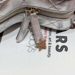chanel as4579 star handbag metallic lambskin gold metal silver 007 luxibags.ru .jpg