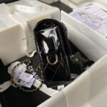 chanel as4648 flap bag star coin purse mirror calfskin metallic calfskin gold tone metal black 024 luxibags.ru .jpg