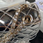 chanel as4648 flap bag star coin purse mirror calfskin metallic calfskin gold tone metal silver 008 luxibags.ru 1.jpg