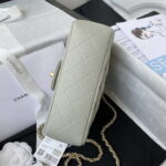 chanel mini flap lambskin bag with top handle as2431 light green gold 006 luxibags.ru .jpg