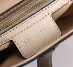 dior m0455 saddle bag with strap gold grained calfskin m0456 009 luxibags.ru .jpg