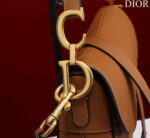 dior m0456 mini saddle bag with strap brown grained calfskin 007 luxibags.ru .jpg