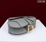 dior m0456 mini saddle bag with strap gray grained calfskin 004 luxibags.ru .jpg