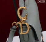 dior m0456 mini saddle bag with strap gray grained calfskin 008 luxibags.ru .jpg