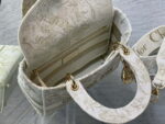 dior m0565 medium lady d lite multicolor florilegio embroidery m1026 08 luxibags.ru .jpg