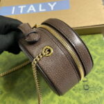 gucci 725147 ophidia mini chain bag brown 3 luxibags.ru .jpg