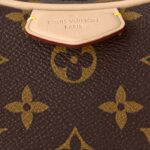 louis vuitton croissant mm monog 9.jpg