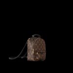 louis vuitton palm springs mini 1.jpg