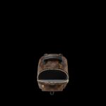 louis vuitton palm springs mini 2.jpg