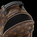louis vuitton palm springs mini 3.jpg