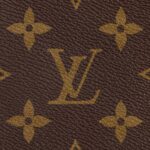 louis vuitton palm springs mini 4.jpg