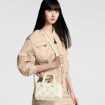 louis vuitton speedy bandouliere 1.jpg