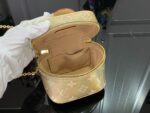 micro vanity bag 17.jpg