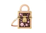 Cherry Blossom Camera Box Sakura Brown.jpg