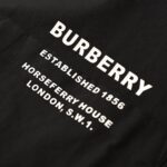 BBR Shirt logo.jpg