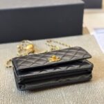 chanel classic wallet on chain black 19cm 5rg1o.jpg