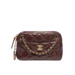 chanel mini camera case dark brown 18cm as5190 b18306 nzv43 qzjaz.jpg