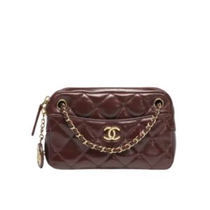 chanel mini camera case dark brown 18cm as5190 b18306 nzv43 qzjaz.jpg