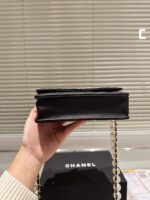 chanel wallet on chain woc black 20cm 4dpyw.jpg