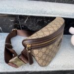 gucci gg supreme canvas belt bag 18cm 233269 fcigx 8588 flhkj.jpeg