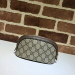 gucci ophidia gg cosmetic pouch brown rrxnq.jpeg