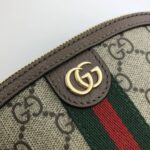 gucci ophidia gg cosmetic pouch brown wyrxp.jpeg