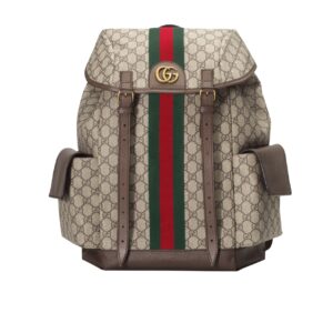 gucci ophidia gg medium large backpack 40cm 598140 huhat 8564 5hcm2.jpg