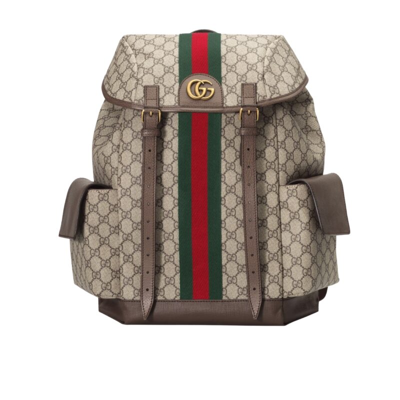 gucci ophidia gg medium large backpack 40cm 598140 huhat 8564 5hcm2.jpg