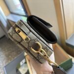 gucci ophidia gg mini bag beige ebony 20cm e0rx3.jpg