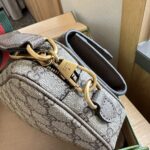 gucci ophidia gg mini bag beige ebony 20cm iuges.jpg