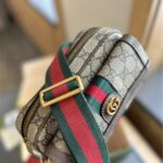 gucci ophidia gg mini bag beige ebony 20cm u3a3f.jpg