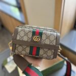 gucci ophidia gg mini bag beige ebony 20cm wfm1r.jpg