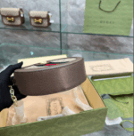gucci ophidia mini gg round bag beige and brown 20cm voaum.png