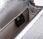 gucci womens dionysus super mini crossbody bag silver 16cm 476432 1trbn 8173 fhylb.jpeg
