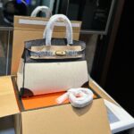 hermes birkin 25 toile h black 25cm oebaj.jpg