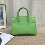 herms birkin b25 togo grenat ghw green 20cm fnecl.jpg