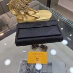 louis vuitton epi sarah wallet black 28cm llles.jpeg