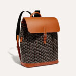 GoYard Alpin backpack black tan.jpg
