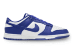Nike Dunk For Washington Huskies Fans.png