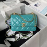 chanel as2615 woc wallet on chain with gold charm small vintage calfskin bag 001 luxibags.ru .jpg