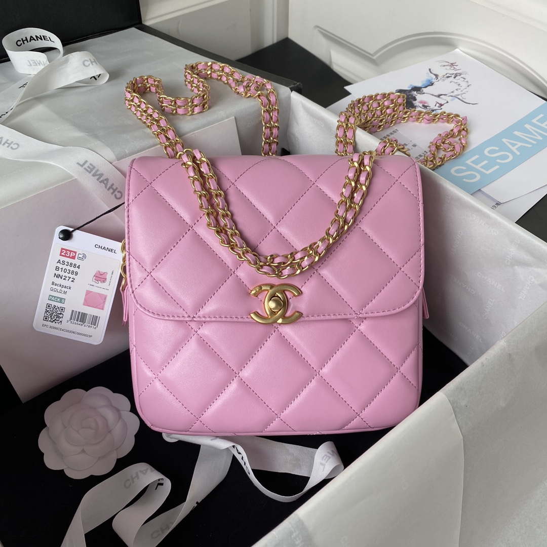 CN AS3384 Backpack Chain bag lambskin Pink 1 chanel as3384 backpack chain bag lambskin pink 001 luxibags.ru .jpg