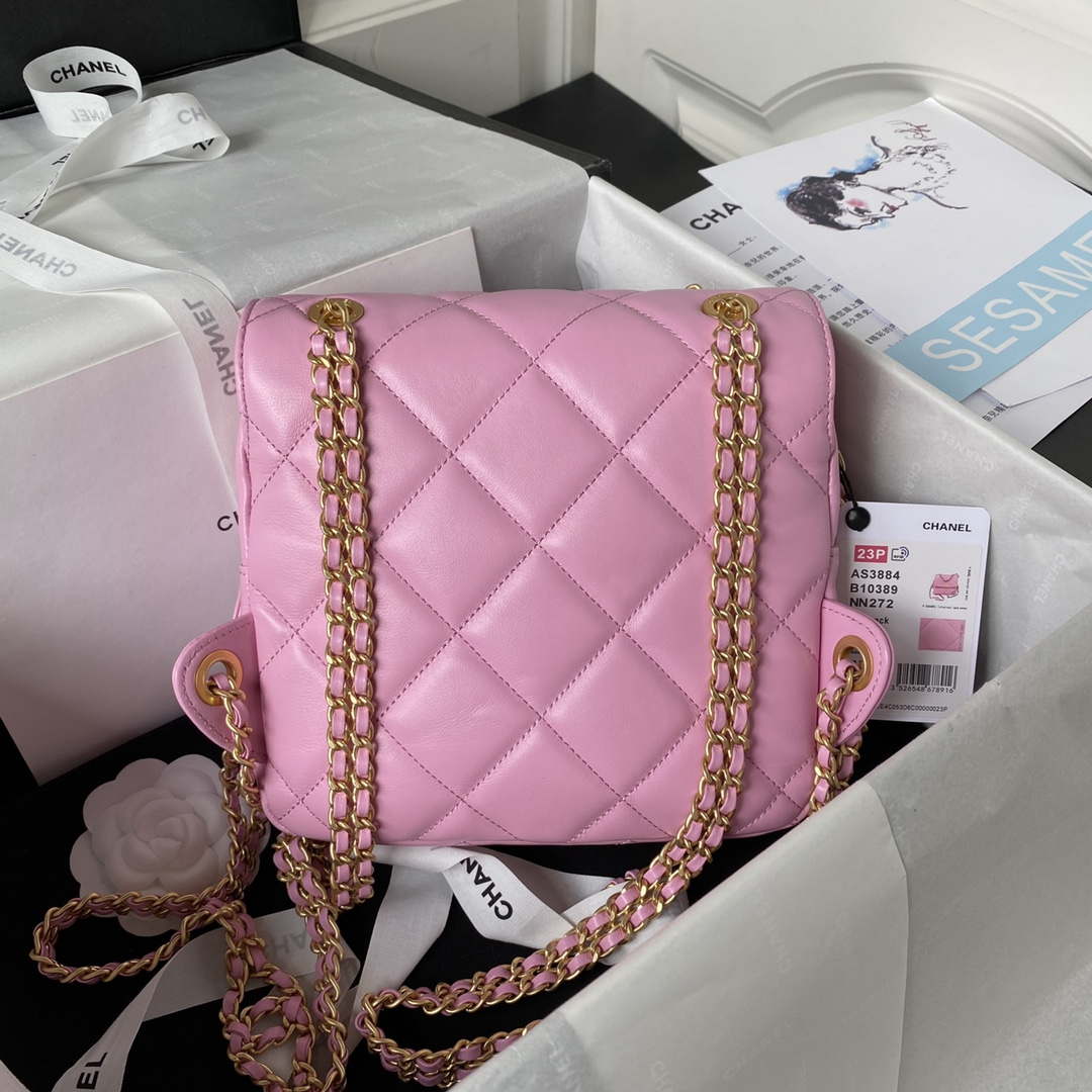 CN AS3384 Backpack Chain bag lambskin Pink 2 chanel as3384 backpack chain bag lambskin pink 002 luxibags.ru .jpg