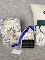 p500 30montaig nevoyageur bv70m.jpg