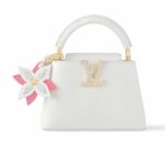 louis vuitton capucines mini bag snow white 20cm m21416 luylm.jpg